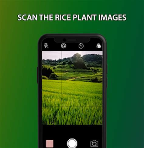 Android I In Rice Disease Snap Ndir