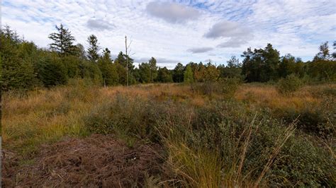 Réserve naturelle de la Fange de Mirenne Ardenne Gaume