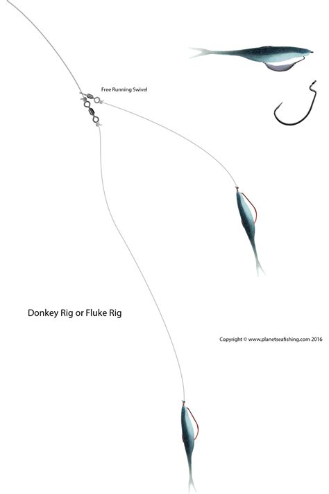 How To Tie A Donkey Rig Or Double Fluke Rig Planet Sea Fishing