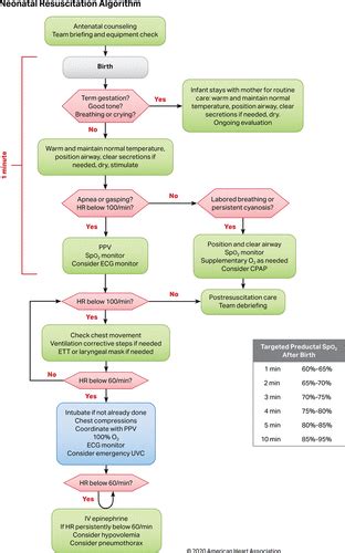 Part 5 Neonatal Resuscitation 2020 American Heart Association