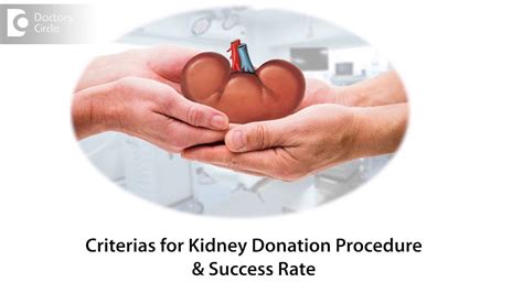 Criterias For Kidney Donation Procedure And Success Rate Dr Girish Ns