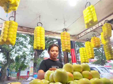 Mengenal 2 Macam Apel Malang Oleh Oleh Khas Malang Ada Yang Manis Dan