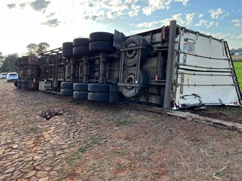 Carga De 32 Toneladas De Frangos Deve Iniciar O Transbordo Em Carreta