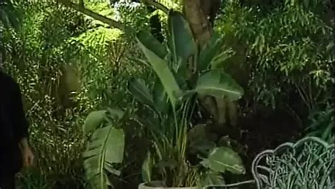 Dru Barrymore Anal Fuck Porn Videos Xhamster