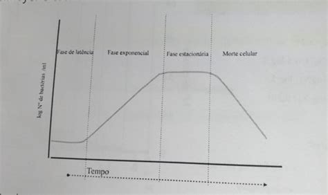 Bacterologia 5 Crescimento Bacteriano Flashcards Quizlet