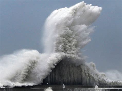 Six dead as Japan hit by strongest typhoon in 25 years – Health