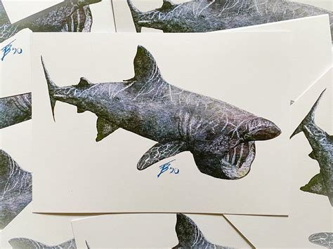 Shark Painting Basking Shark Watercolour Basking Shark A5 | Etsy