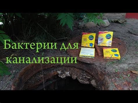 Бактерии для канализационной ямы - YouTube