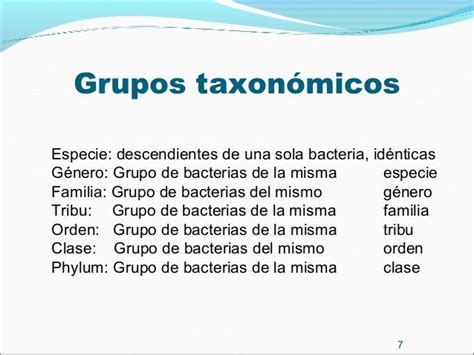 Clasificación Bacteriana