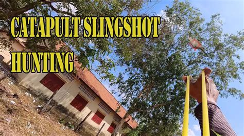 Let s go hunting EP32 Catapult slingshot hunting ខនចញបរមញយរហយ