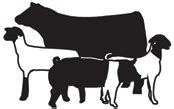 Livestock Show Animal Clipart | Clipart Panda - Free Clipart Images