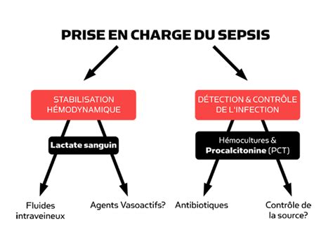 Le Lactate Comme Aide Au Diagnostic Et à La Prise En Charge Du Sepsis Radiometer