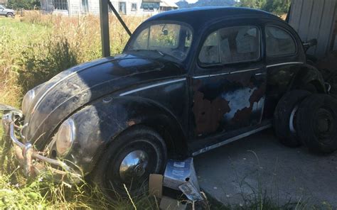 Split Window Project Volkswagen Beetle Barn Finds