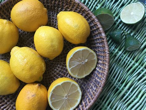 Tap Into Terpenes Learn About Limonene • Ethos Cannabis Blog