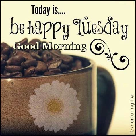 Today Is Be Happy Tuesday Good Morning Tuesday Quotes Good Morning