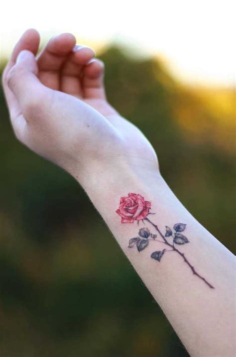 40 Lovely Rose Tattoos And Designs And Ideas For Men And Women