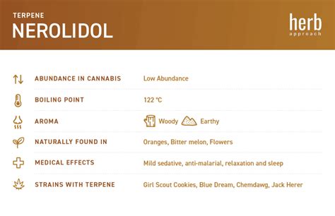 Nerolidol - Tiny Terpene with Massive Benefits | Herb Approach