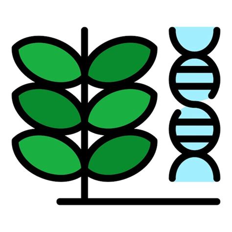 GVO DNA Pflanzensymbol Umriss Des GVO DNA Pflanzenvektorsymbols In