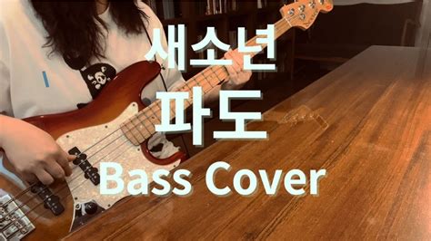 참을 수 없는 베이스 ⭐ 새소년 파도 베이스 커버 Se So Neon The Wave Bass Cover Youtube