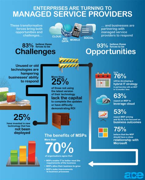 MSP - Managed Services Provider [INFOGRAPHIC] - Ace Infoway