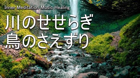 【asmr自然音】川のせせらぎと鳥のさえずり Nature Sounds｜勉強・作業用bgm・睡眠用bgm｜川の音・鳥の声｜快眠・リラックス