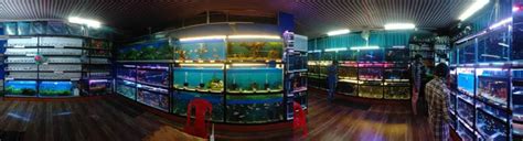 Have You Seen These Popular Aquariums Of India Tan