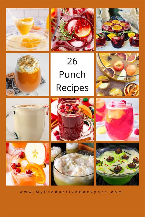 26 Punch Recipes - My Productive Backyard