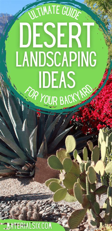 Desert Landscaping Ideas for Your Backyard (A Guide)