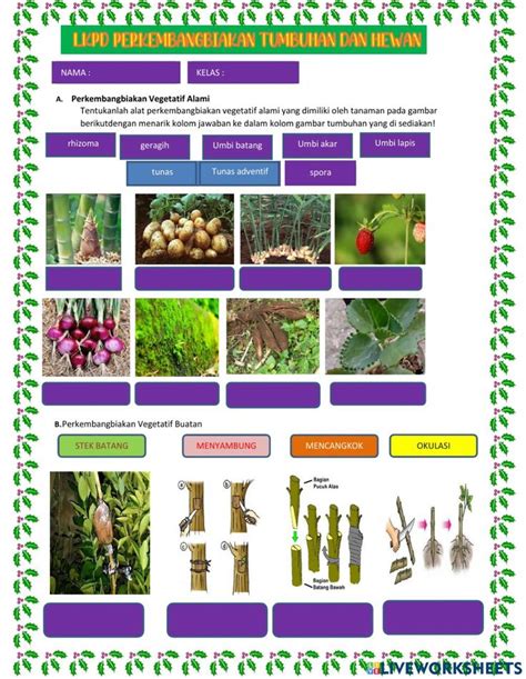 An Image Of Plants And Flowers In Different Stages Of Development With