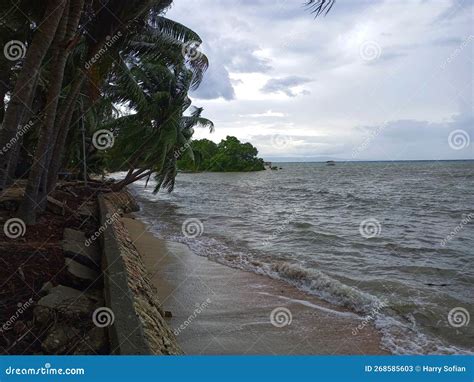 Natural Landscape of Sumba Island, Beach Stock Image - Image of pasture, meadow: 268585603