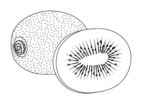 31 páginas para colorear de kiwis ColoringPagesOnly