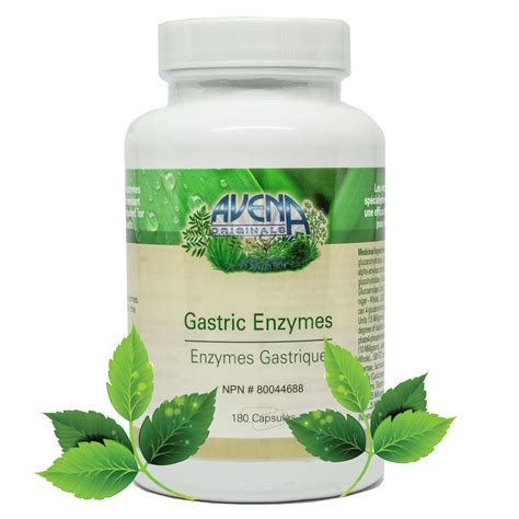 GASTRIC ENZYMES | Avena Originals