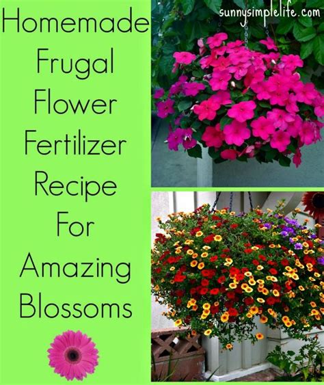 Homemade Flower Fertilizer | Homemade plant fertilizer, Fertilizer for ...