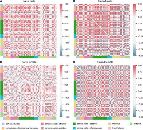 Frontiers Sex Specific Neural Networks Of Cued Threat Conditioning A