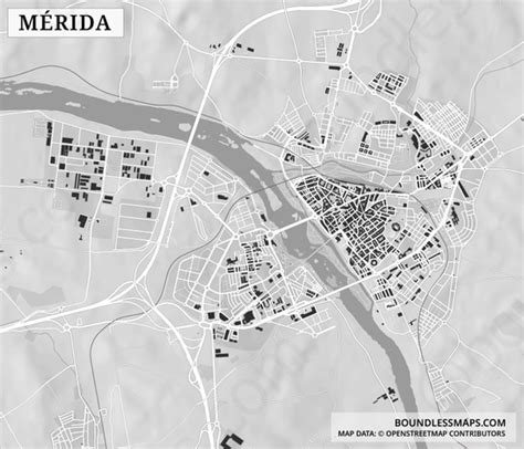 Mérida Figure ground Vector Map Boundless Maps