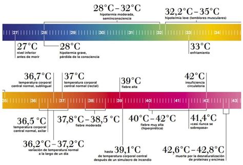 Cámaras termográficas Cómo detectar fiebre ante Coronavirus COVID 19