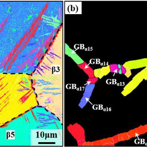 Ipf Maps Of The Corresponding Local Microstructure At 01 °cs 560 °c