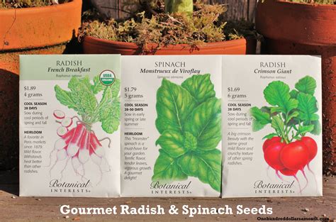 How to Grow Your Own Food: Planting Radish & Spinach Seeds - One ...