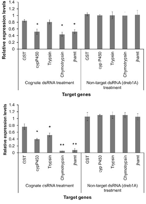 Relative Quantification Of Target Gene Expression By Employing Qrt Pcr