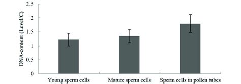 Nuclear DNA Content Level C Of Sperm Cells In Different Developmental