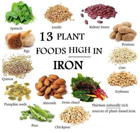 11 Vegetarian Foods That Are High In Iron You Should Know About Vegan