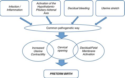 Preterm Birth Risk Factors Identification And Management Obgyn Key