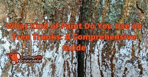 Best Paint For Tree Trunks Expert Recommendations