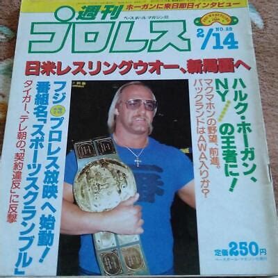 Japanese Pro Wrsetling Magazine Iwgp Hulk Hogan Etc Showa Retro Rare