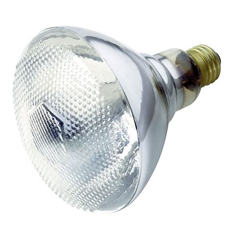 Clear LED Heat Lamp 100W, 117319 - Satco | Agri Supply