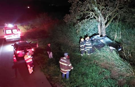 Motorista morre após bater carro em árvore em rodovia da região de