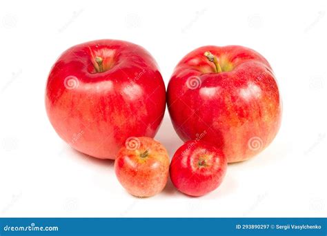 Large And Small Apples On A White Background Stock Image Image Of