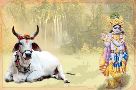 गौमाता ही भारत माँ की पहचान है अगस्त 2012