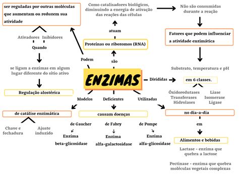 MAPA MENTAL SOBRE ENZIMAS STUDY MAPS