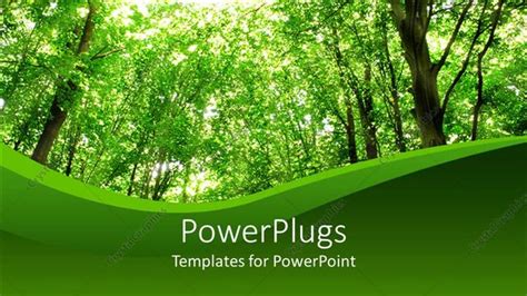 Premium Template for PowerPoint & Google Slides (28127)